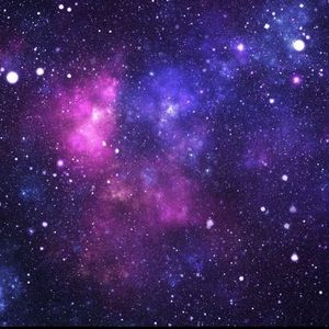 Meet your Posher, MC Shop